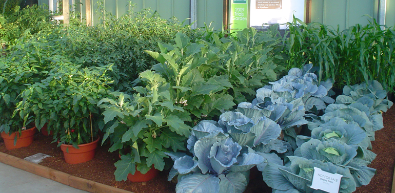 best app for planning vegetable garden best app for planning vegetable garden
