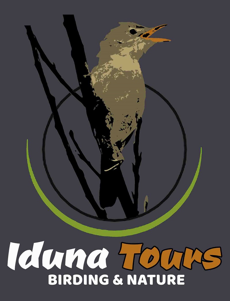 - Iduna Tours B & N -