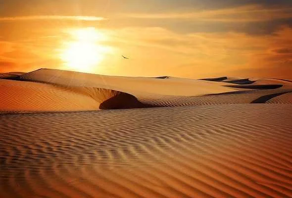 what-is-Desert-Definition-ما-هو-تعريف-الصحراء