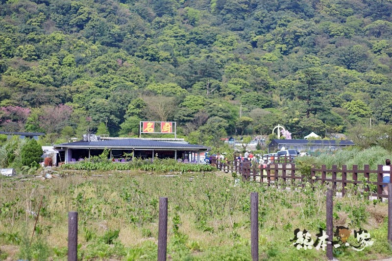 名陽匍休閒農莊|頂湖海芋步道~台北陽明山竹子湖海芋季官網封面照就是在這拍的