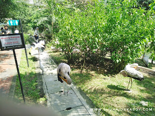 Jalan-Jalan ke Bird Park Kuala Lumpur Jalan-Jalan ke Bird Park Kuala Lumpur