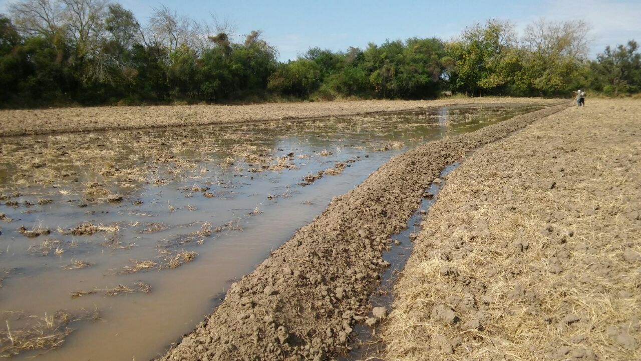 Metodo De Riego Por Curvas A Nivel