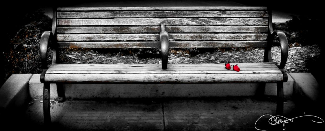 4x12 Romantic Bench Black and White with by TanyaMariePhotograph