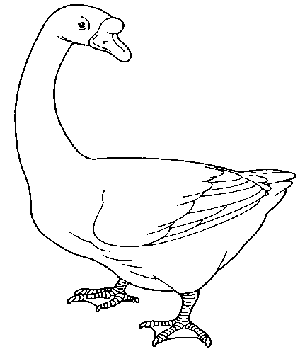 Sekitar Kawasan Sekolah: Gambar Outline_Binatang