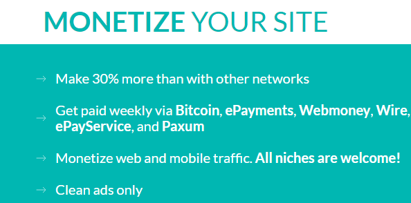 Best ad network for website monetisation