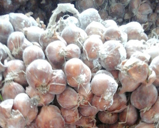 harga bawang merah ponorogo mobil you harga bawang merah ponorogo mobil you