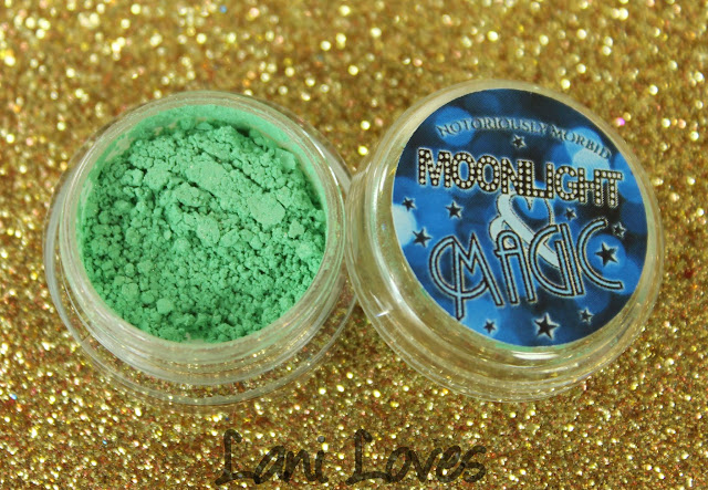 Notoriously Morbid Brad Power Eyeshadow Swatches & Review