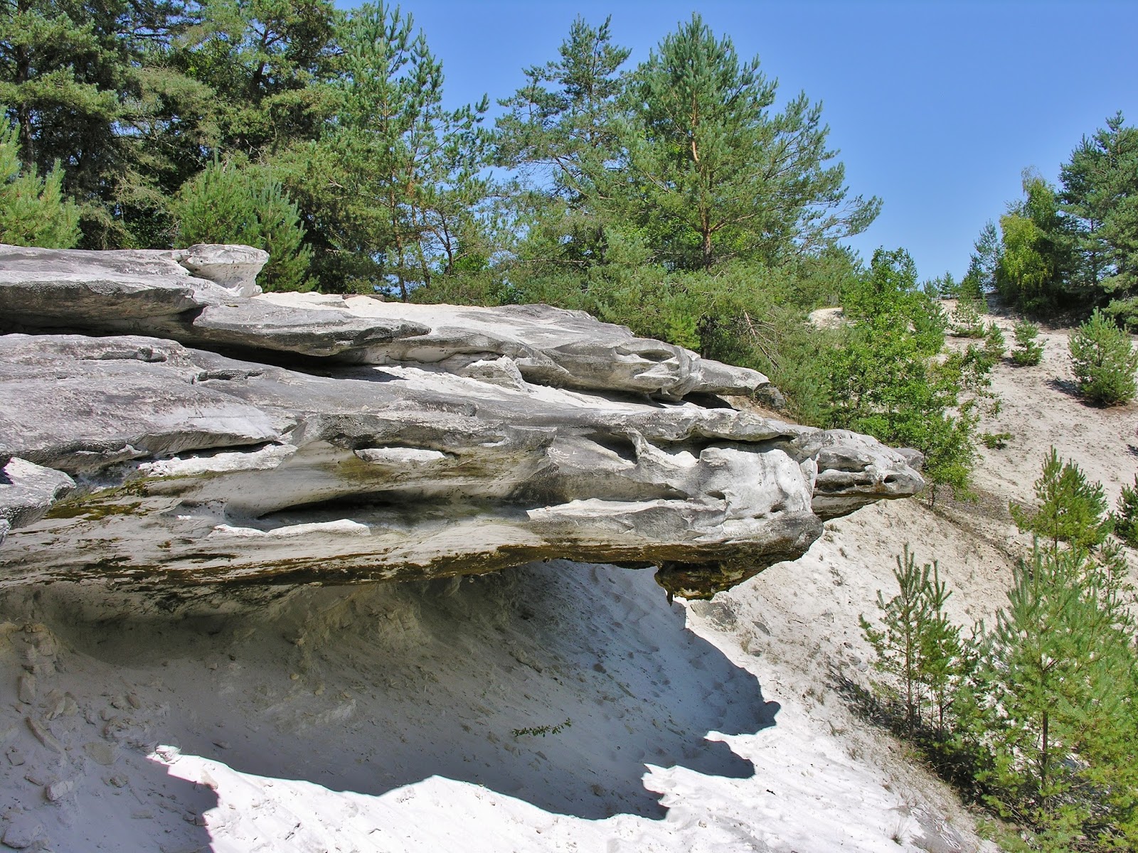Bleau Spirit: La Formation des Grès de FontaineBleau