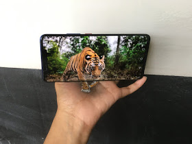 10-Tiger-Iantha-Naicker-3D-Art-www-designstack-co