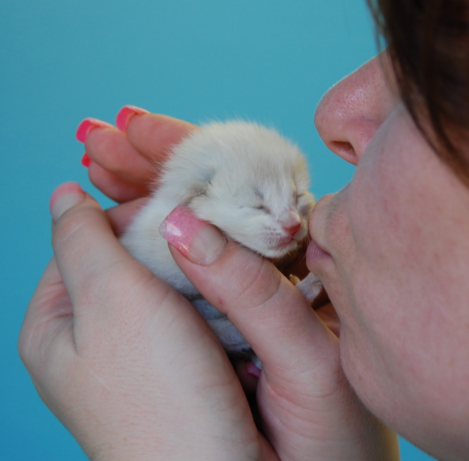 Foster Homes Urgently Needed For Fragile Lives 