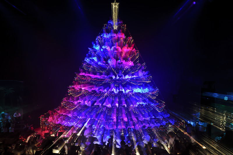 Chad's Concert Pix Living Christmas Tree, Aberdeen, SD