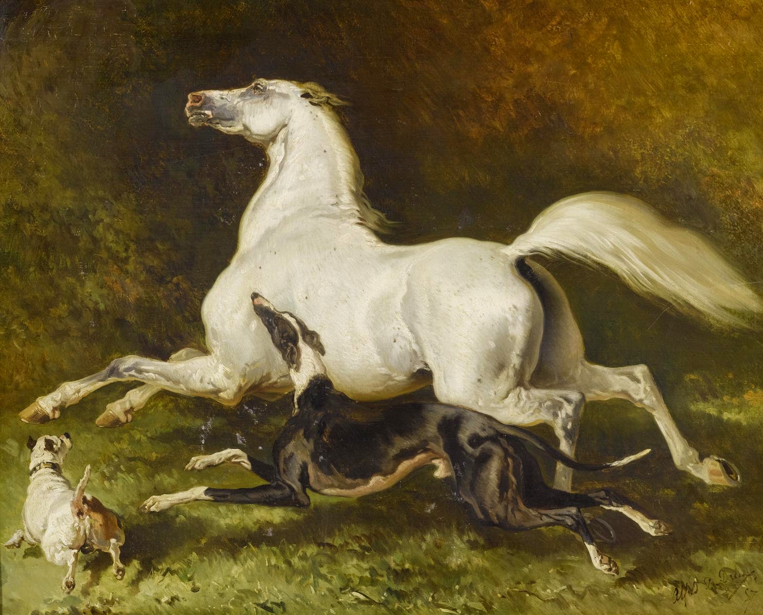 Лошади 18 века