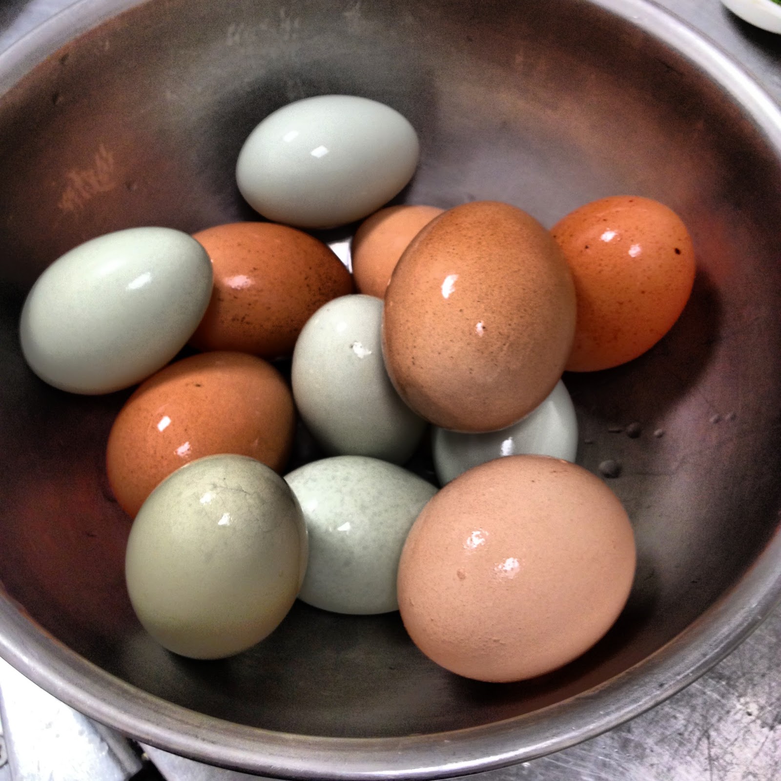 Bake Life Sweet Blue Chicken Eggs & The Best Vanilla Ice Cream