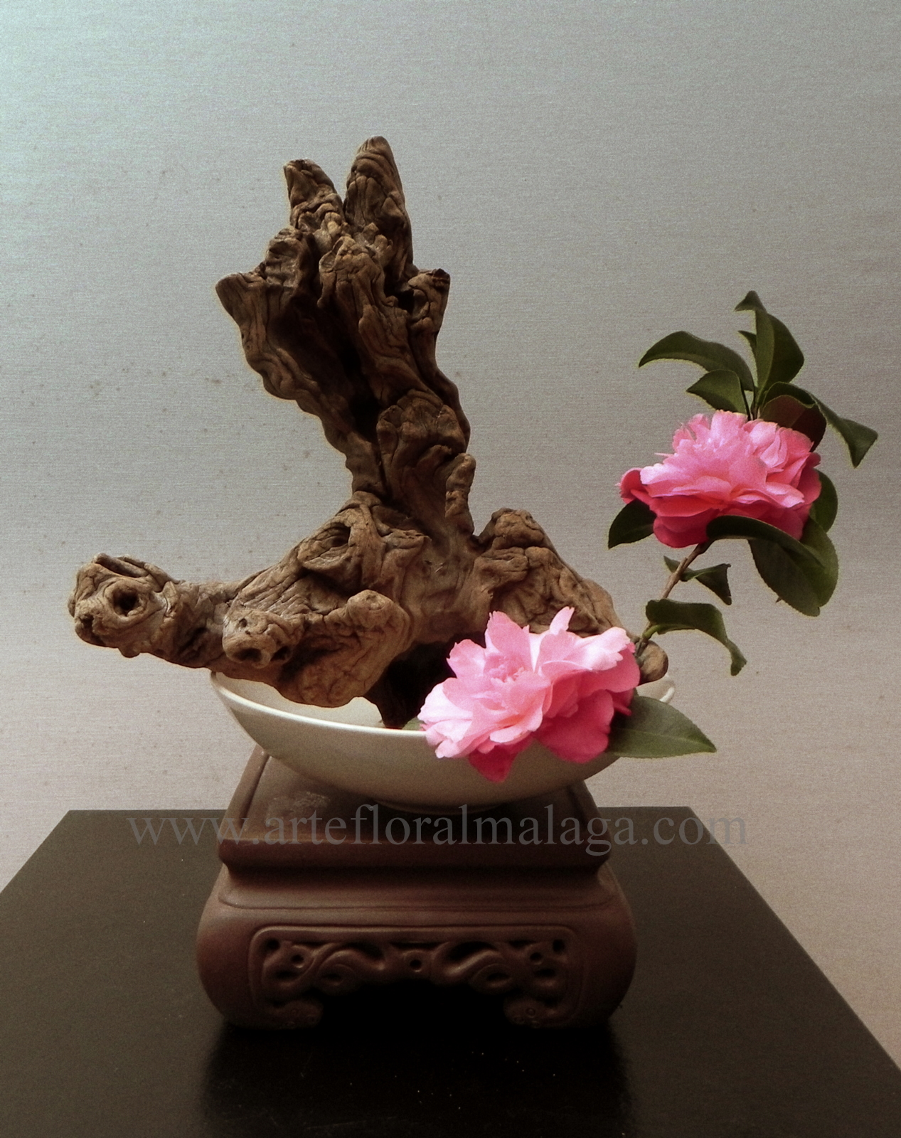 ikebana...arte zen camelias sobre tronco