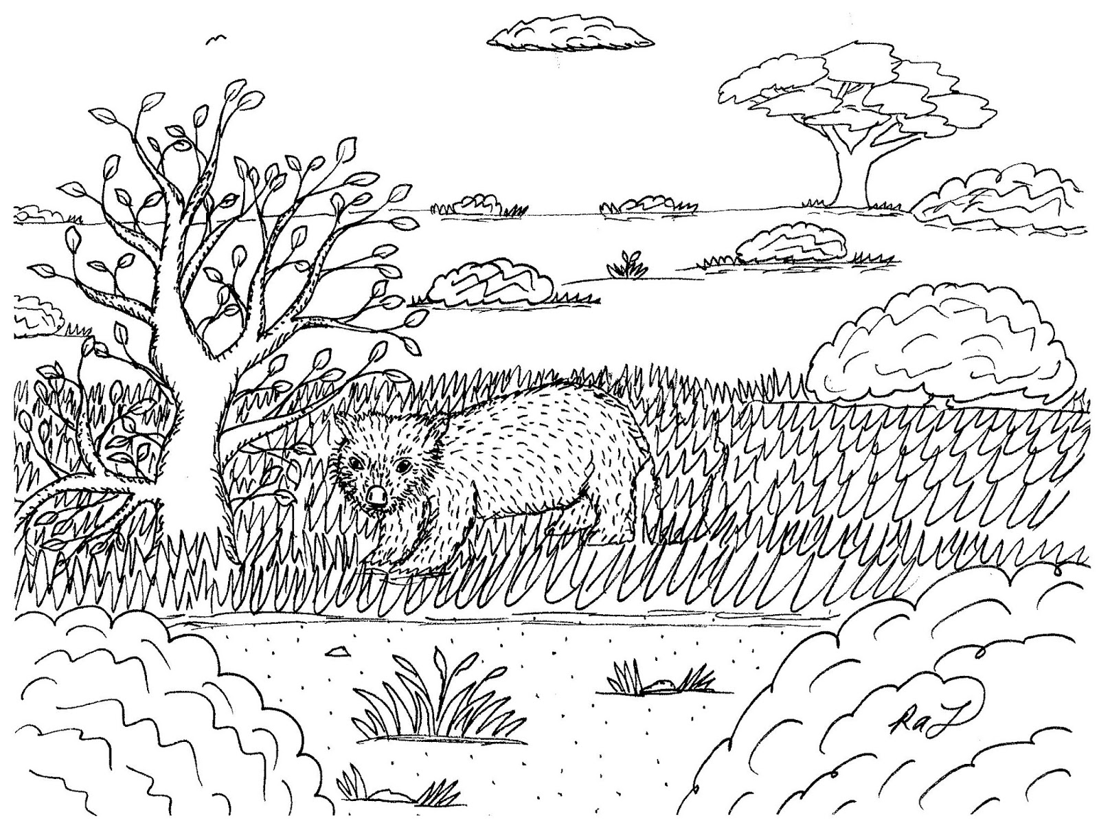 Robin S Great Coloring Pages March 2019