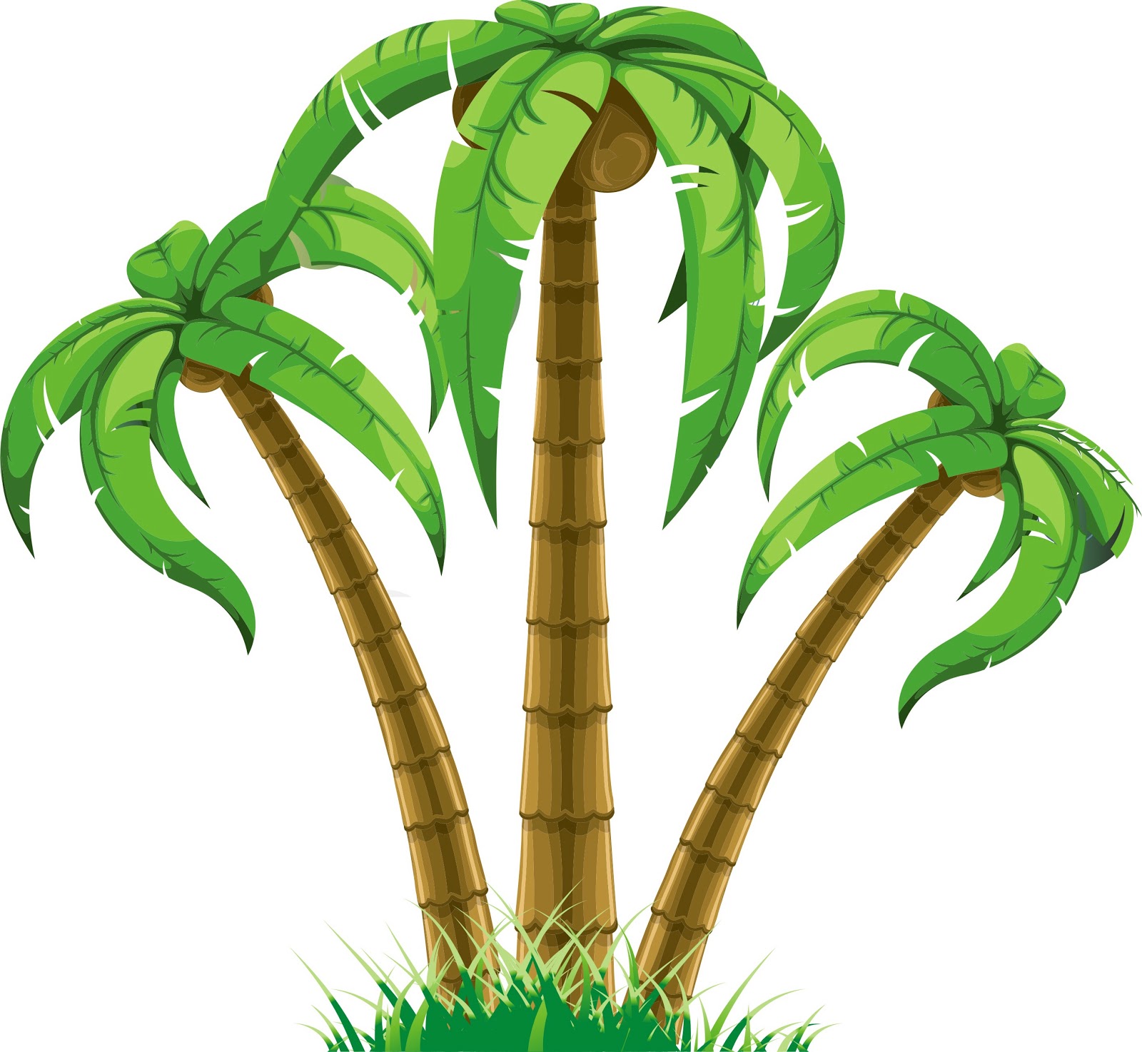 Fondos Palmera En Dibujo