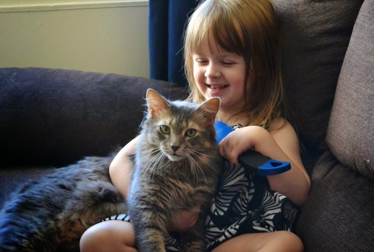 Smiling Child with Cats Love
