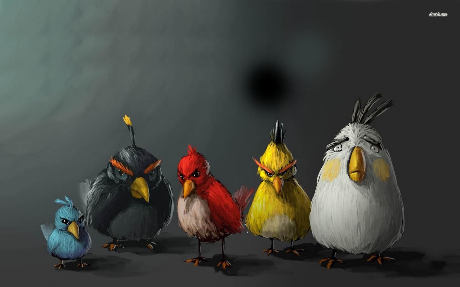 3D HD WALLPAPERS  ANGRY BIRDS  WALLPAPERS 
