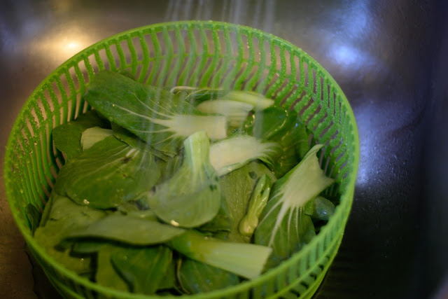 The Bok Choy leaves in a salad spinner, being rinsed with water. 