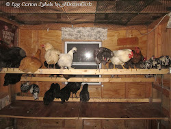 chicken roost should coop