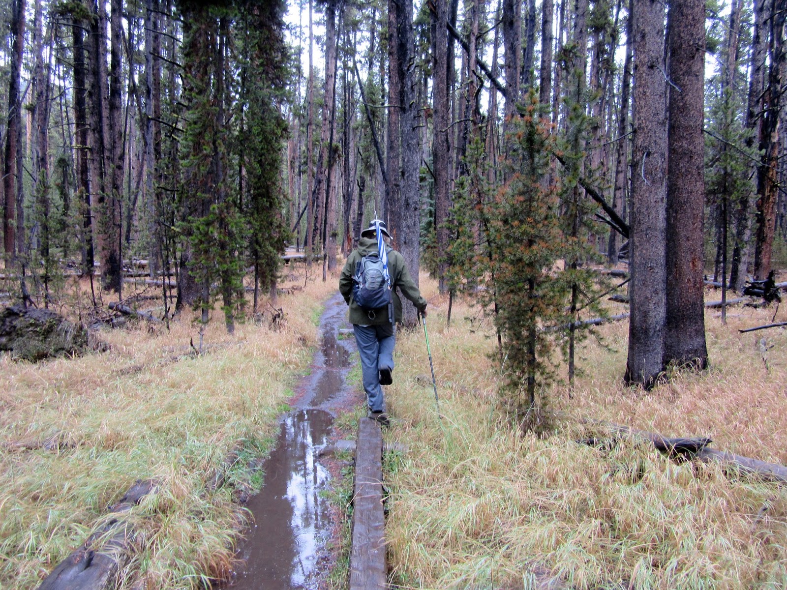 elephant back mountain trail