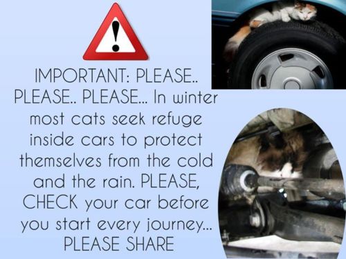 Important Things To Remember To All Car Owners In Winter