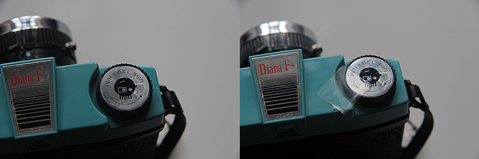 Diana F+ | A Cup Of Style