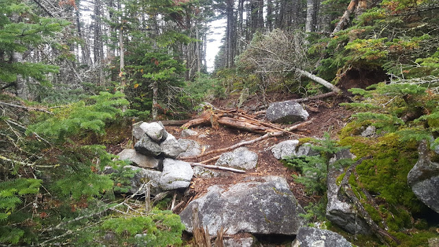 Sentier vers le mont Redington