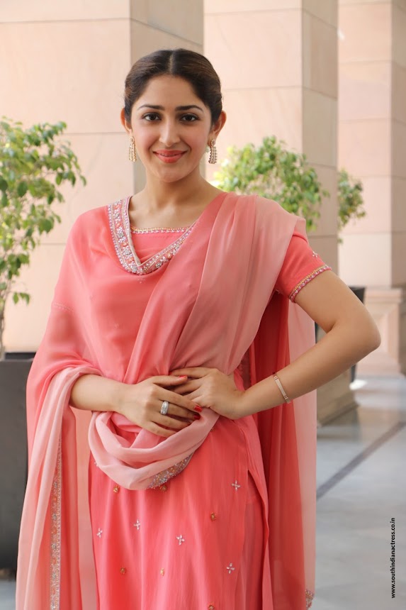 Sayyeshaa Saigal at Kadaikutty Singam Success Meet