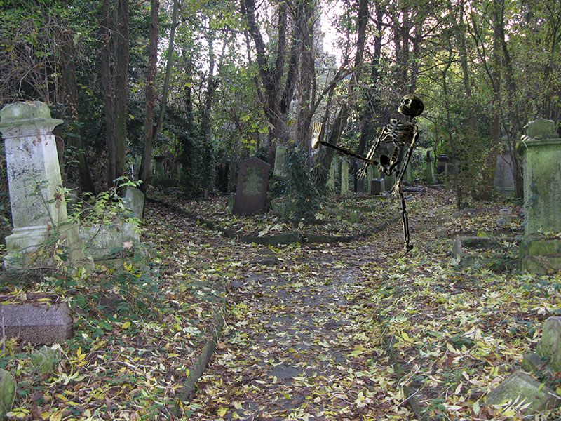 LinsArt: Skeleton in a Graveyard
