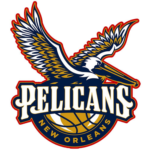 Charlotte fall to New Orleans Pelicans in home opener