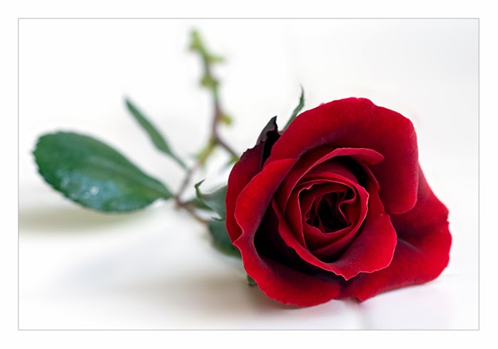 Nederlands blog van Thijs Filosofie over de persoonlijkeheid