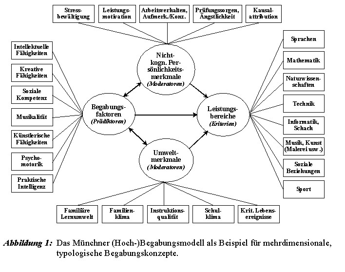 Erzieherauge: Hochbegabung bei Kindern