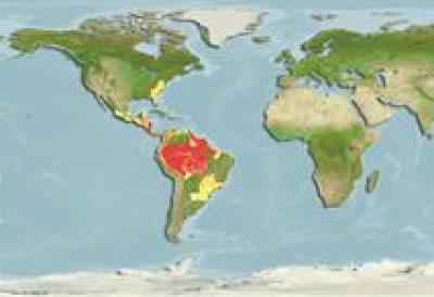 Penyebaran Wilayah Malabar Wolffish