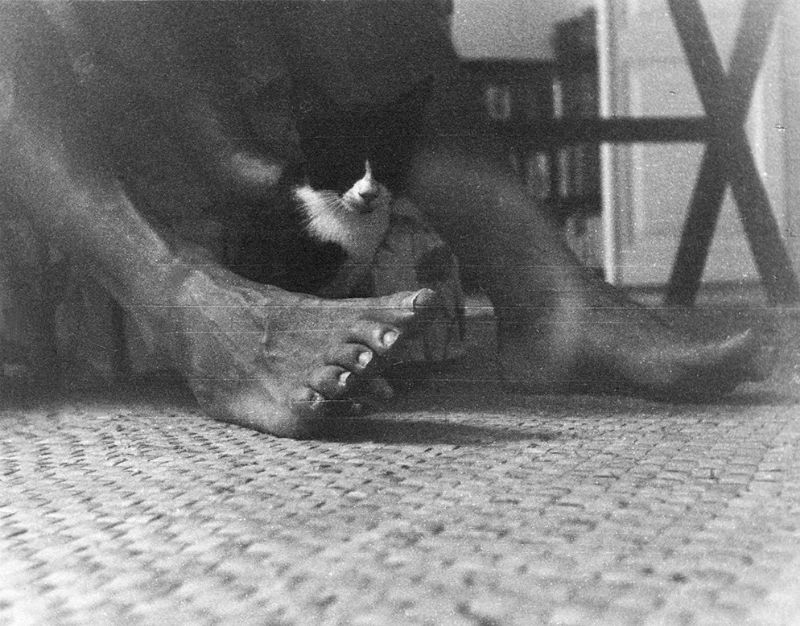 26 Interesting Vintage Photos of Ernest Hemingway With His 26 Interesting Vintage Photos of Ernest Hemingway With His