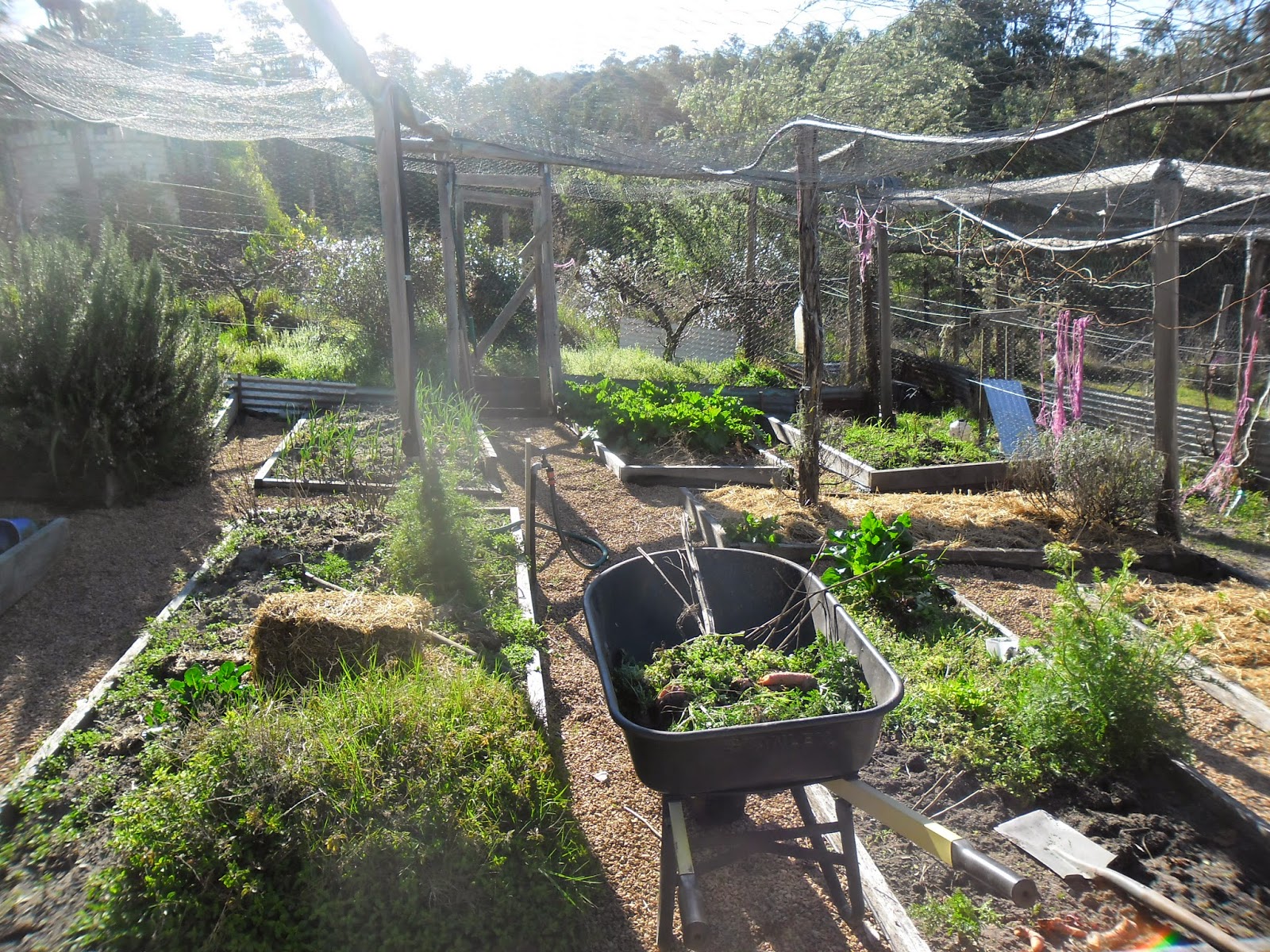 Opportunity Farm Why we blog about Opportunity Farm