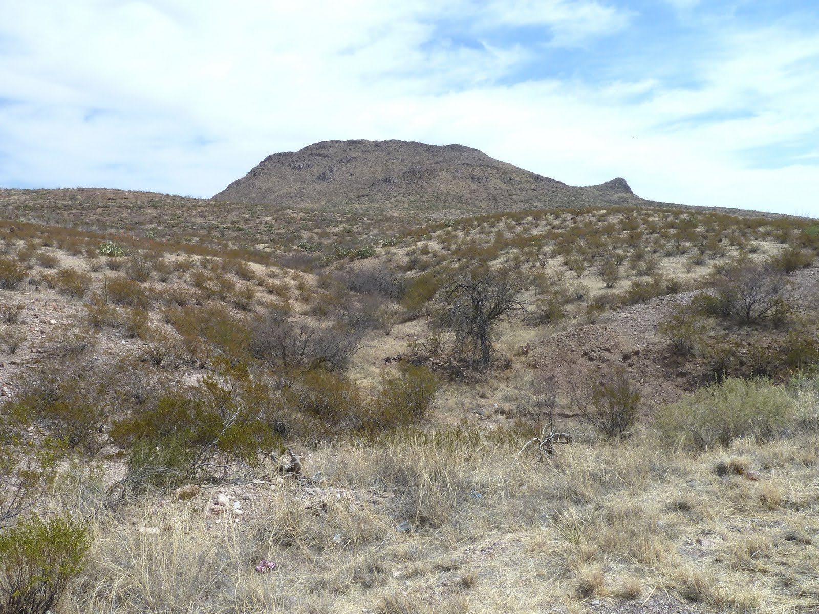 seniors walking across america DAY 110; SAFFORD DUNCAN, ARIZONA