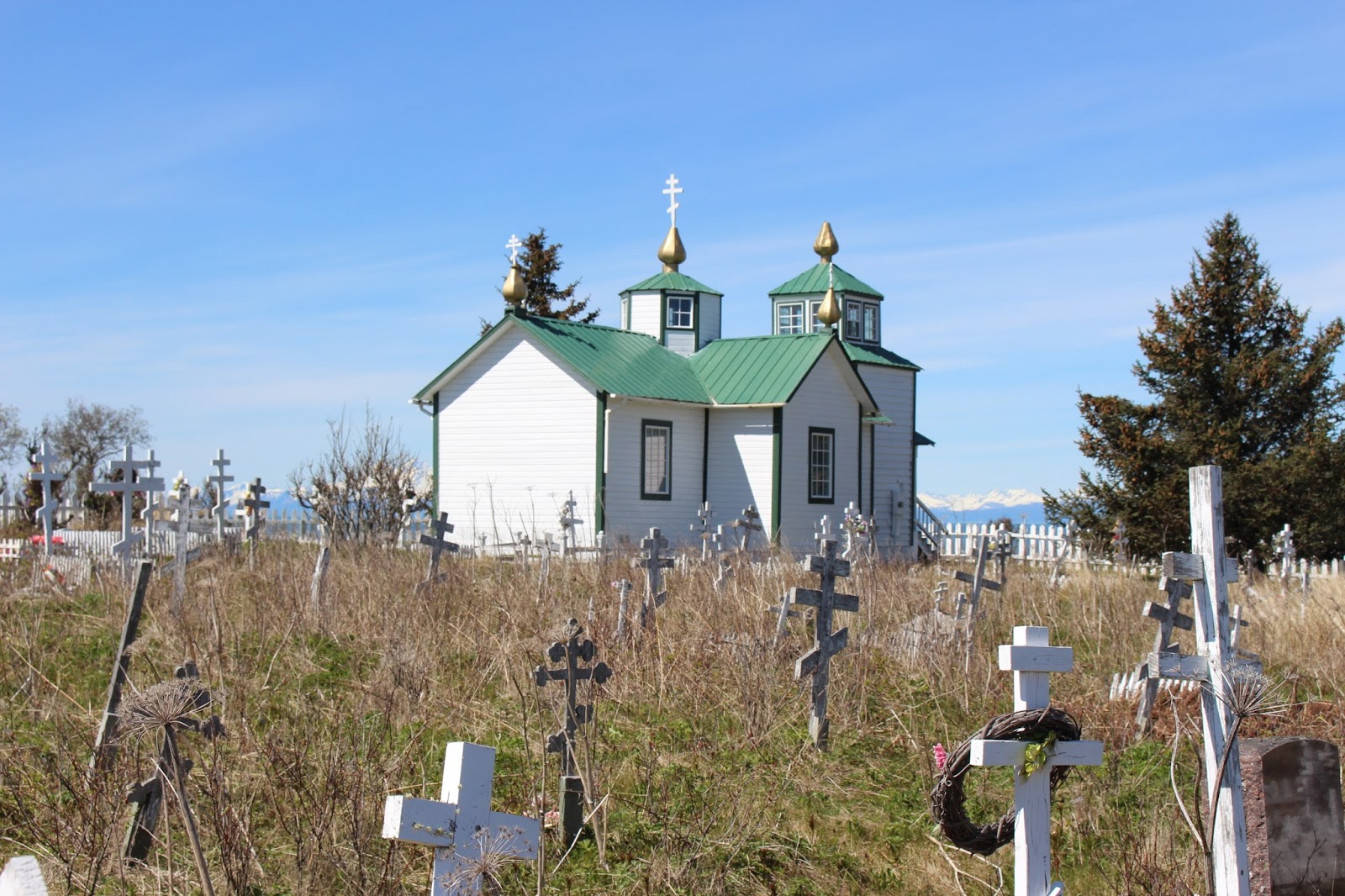 Along the Geronimo Creek Alaska Explored Kenai Peninsula