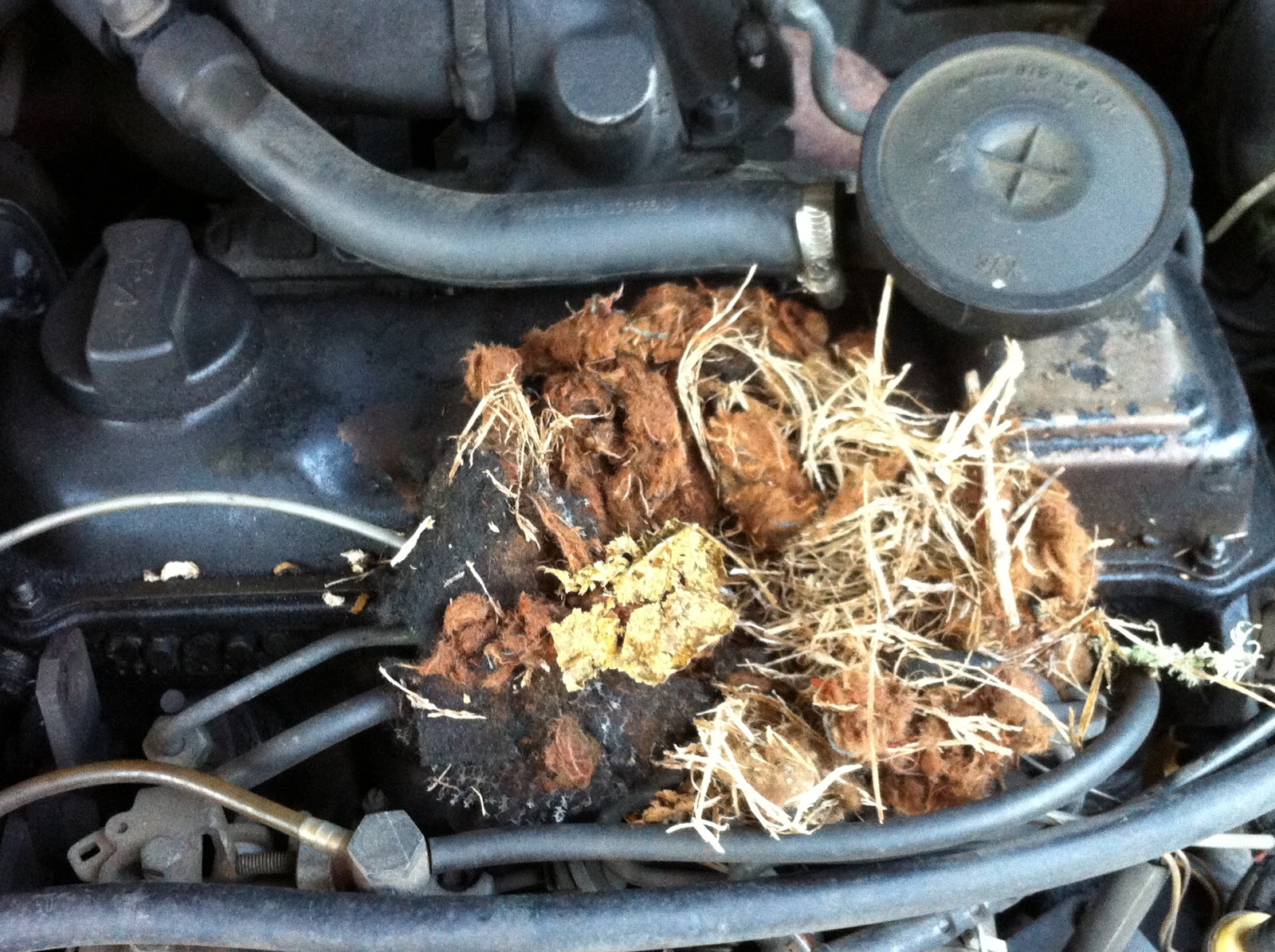 The Laws of Motion Little Red Vs Big Mouse Part Two I