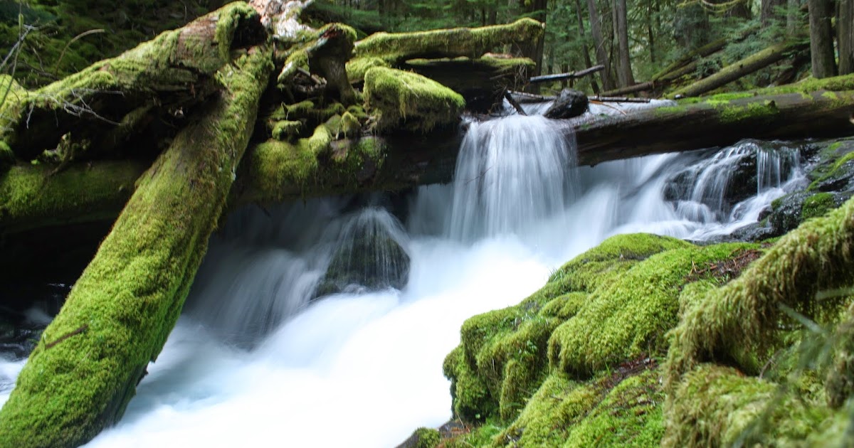 .Hike Mondays.: PANTHER CREEK FALLS: Skamania County, Washington