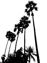 palm tree trees silhouettes silhouette clip clipart simple vector tall california cliparts outline library beach palms scene designs story background