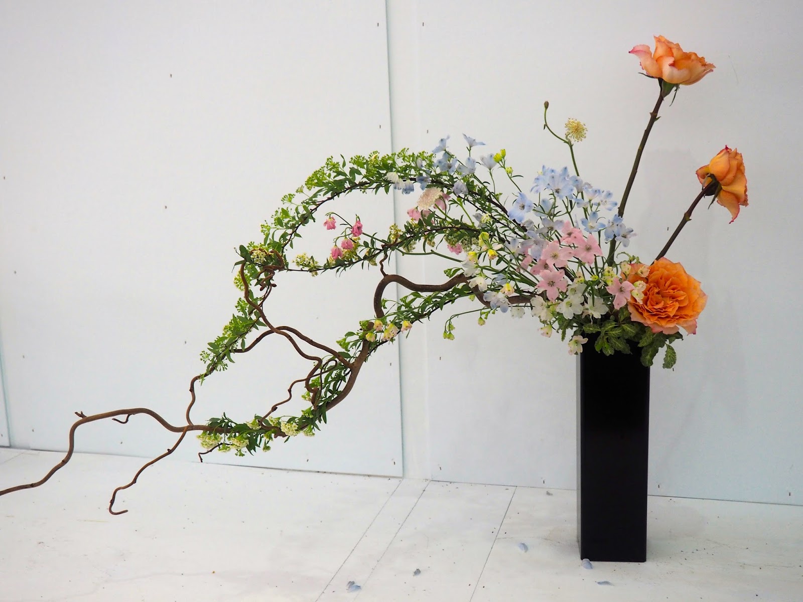 Hong Kong Flower Festival Just Muddling Through Life