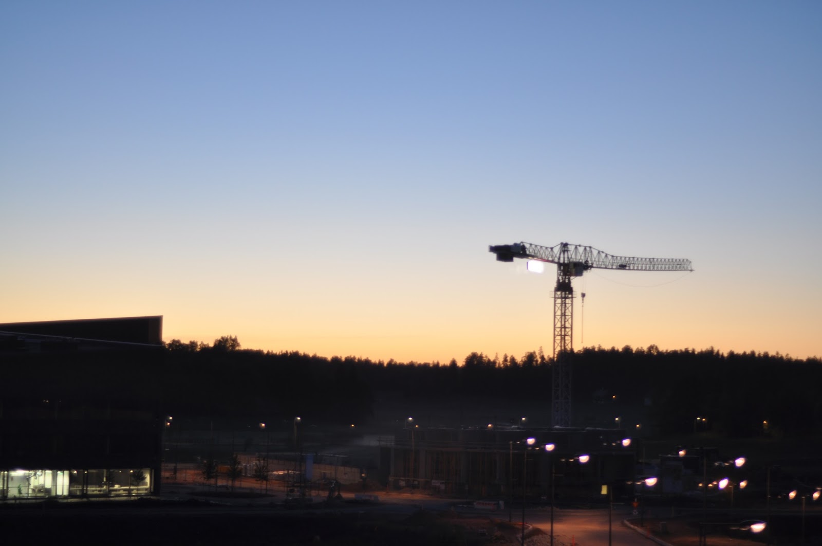 If It s Cold It s Helsinki Some Spring Updates And Remarks About Nature