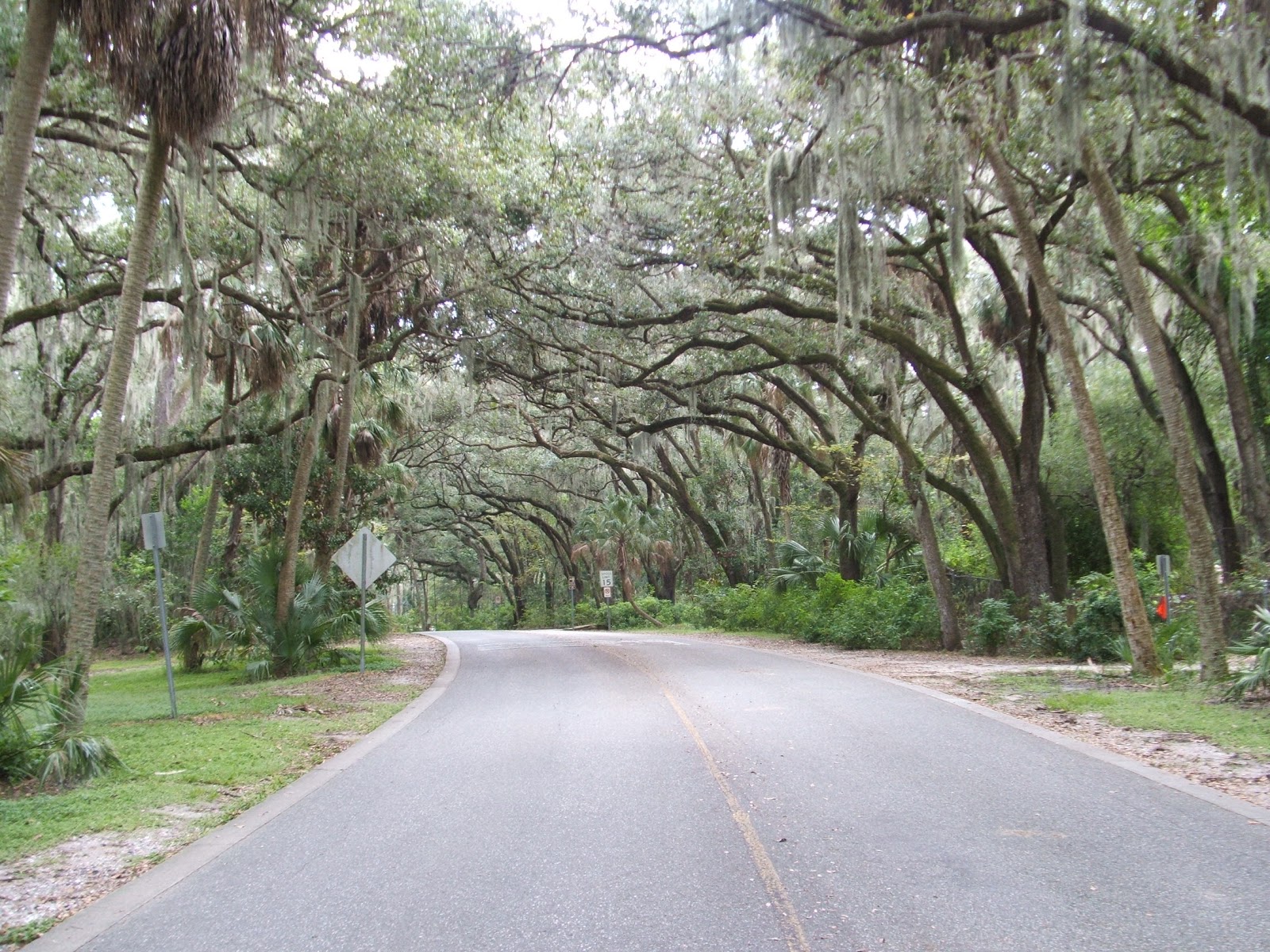 Rediscovering Florida Philippe Park (and Temple Mound) RDF21