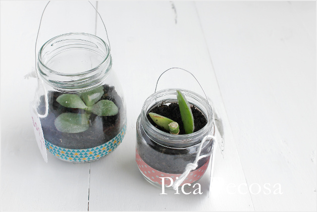 tutorial-hacer-regalo-companeros-colegio-cumpleanos-planta-en-bote-cristal-con-asa-alambre-diy