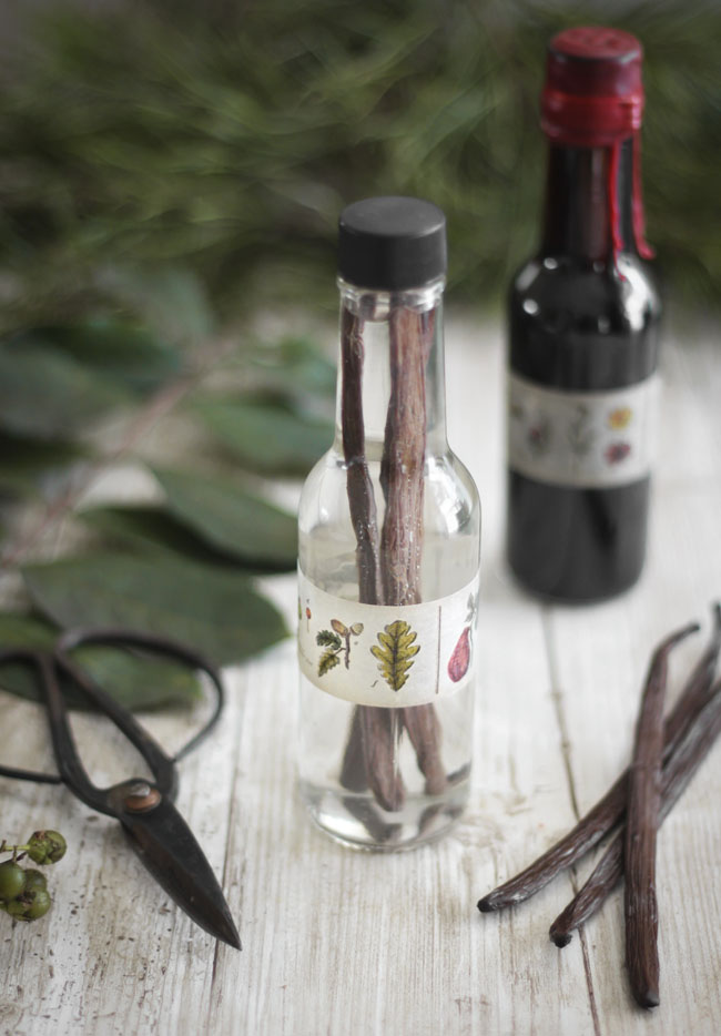 Homemade Vanilla Extract in WaxSealed Bottles Sprinkle Bakes