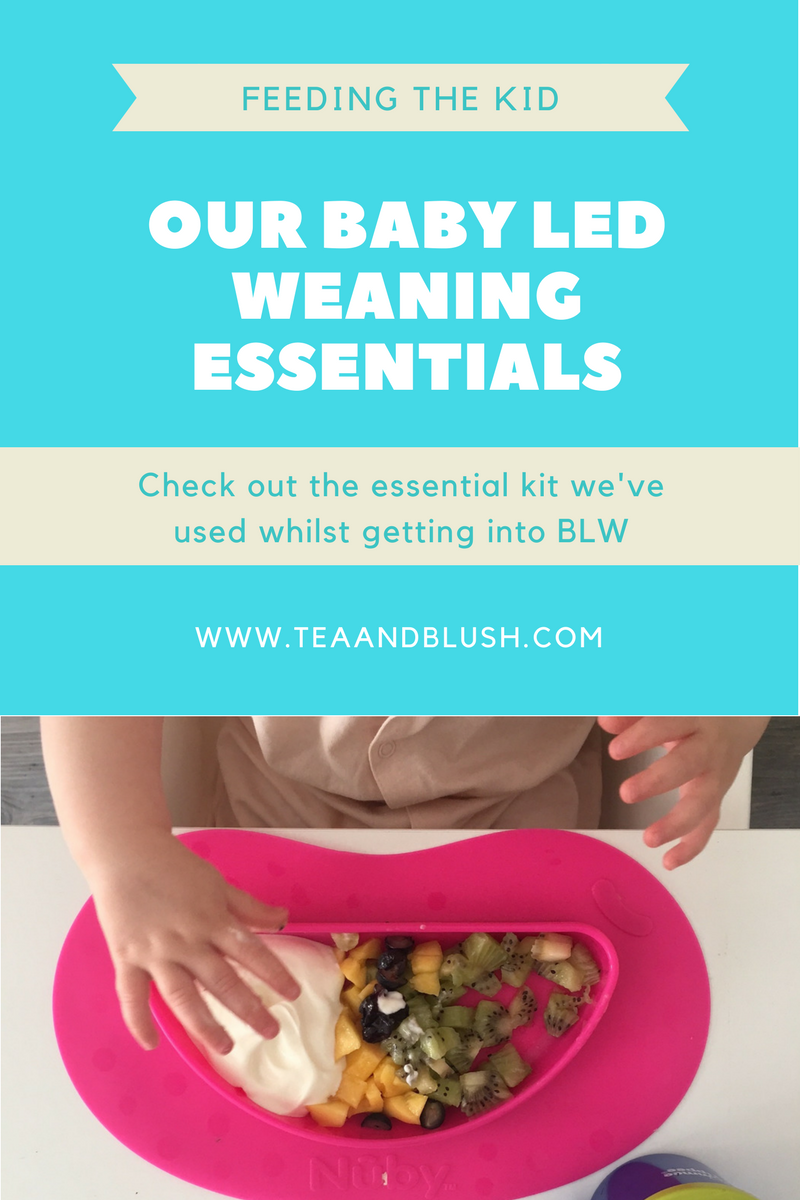 weaning essentials kit