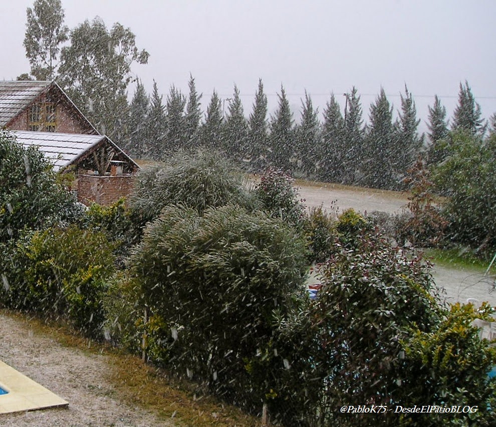 Desde El Patio Blog: Nevada del 9 de Julio