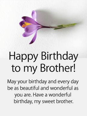 Birthday Wishes For Brother From Sister Quotes 5 Quotes