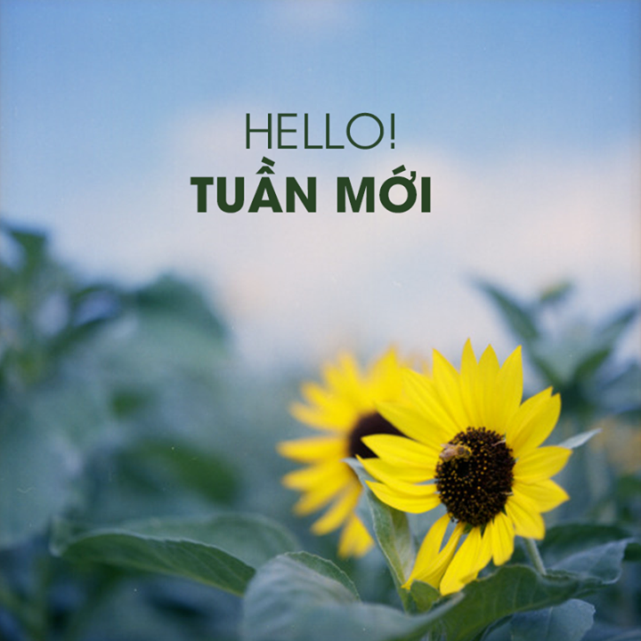 Xem bói: tu-vi-hang-tuan